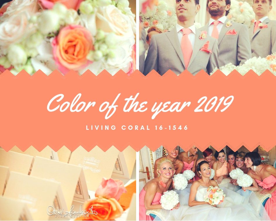 Living coral 16-1546