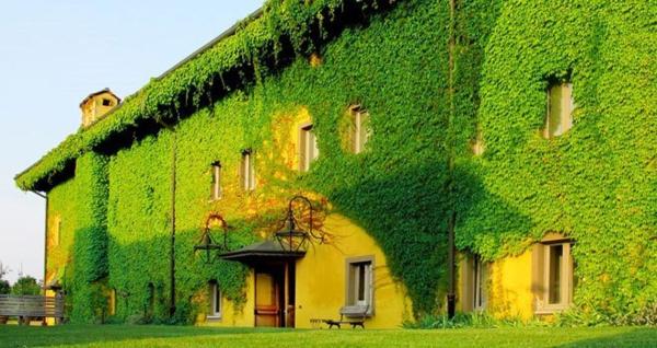 matrimonio natural chic in Piemonte