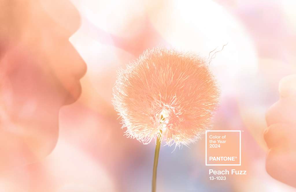 Peach Fuzz Colore dell'Anno 2024
