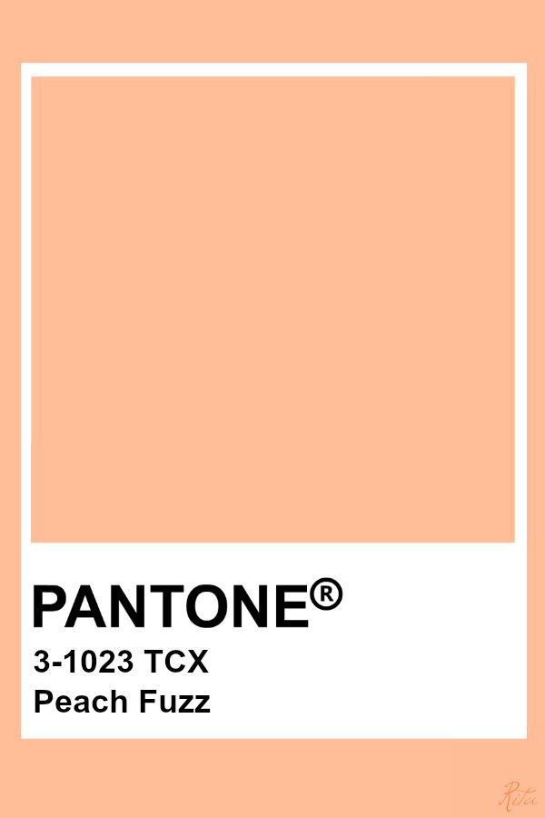 Peach Fuzz Colore dell'Anno 2024