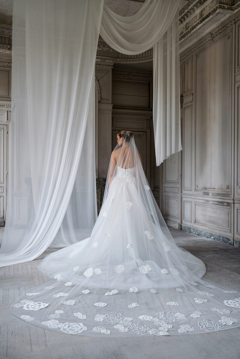Anne Barge Fall 2025