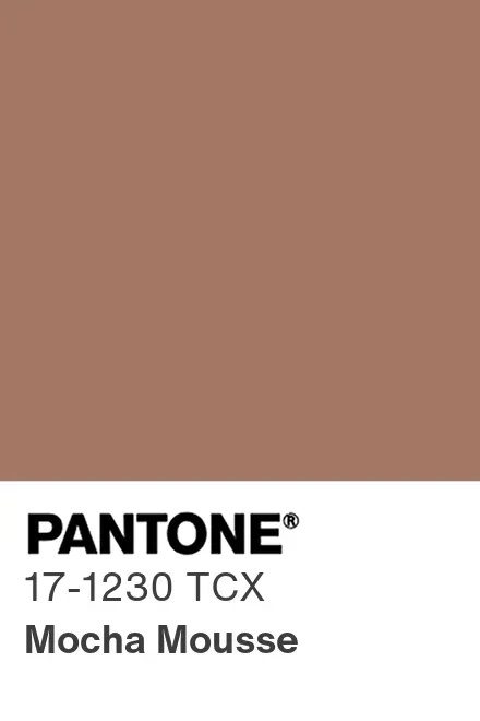 Mocha Mousse 17-1230