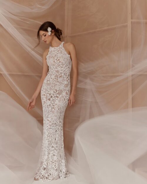 Francesca Miranda Fall 2026
