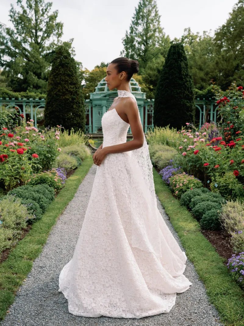 Sareh Nouri Fall 2026
