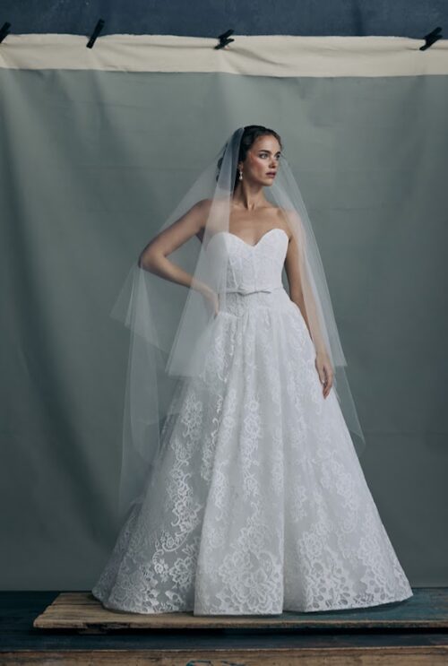 Anne Barge Fall 2026