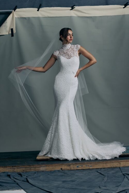 Anne Barge Fall 2026