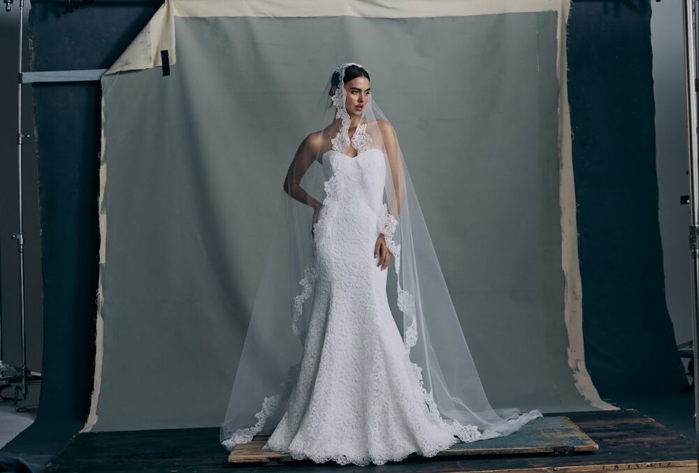 Anne Barge Fall 2026